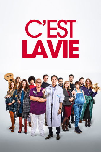 C'est la vie (2020) movie poster