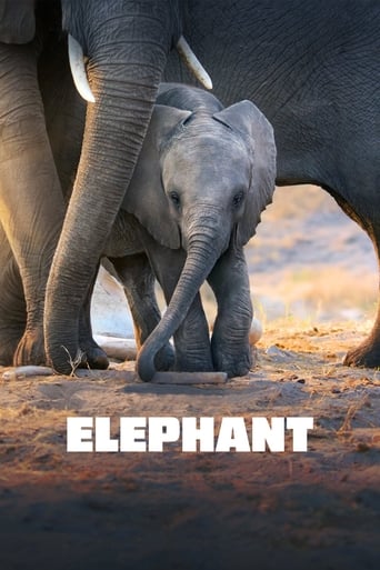 Elephant (2020) movie poster