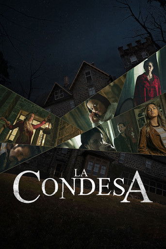 La Condesa (2020) movie poster