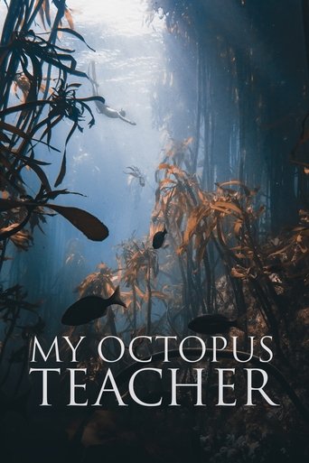 My Octopus Teacher (2020) movie poster