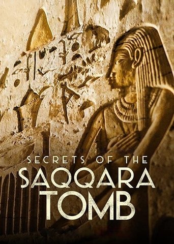 Secrets of the Saqqara Tomb (2020) movie poster