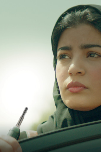 The Perfect Candidate (2020) movie poster