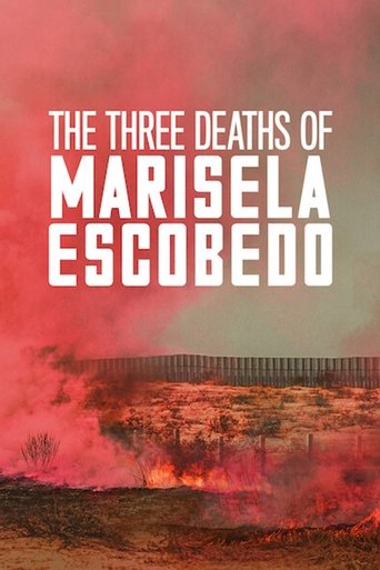 The Three Deaths of Marisela Escobedo (2020) movie poster