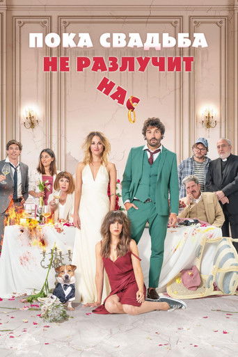 The Wedding Unplanner (2020) movie poster