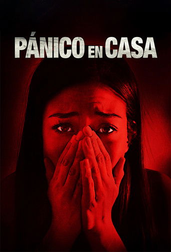 Safer at Home (2021) movie poster