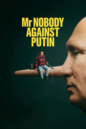 Mr. Nobody Against Putin poster