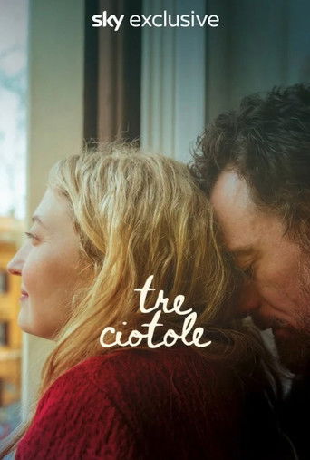 Three Goodbyes (2025) movie poster