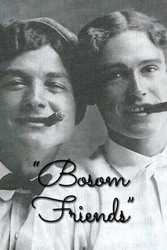 Bosom Friends poster