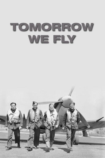 Tomorrow We Fly poster