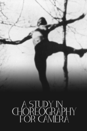 A Study in Choreography for Camera (1945) movie poster