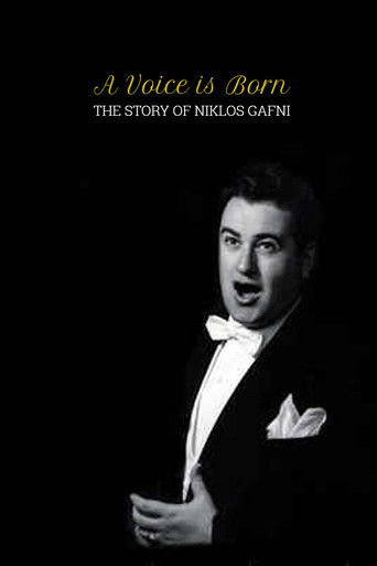 A Voice Is Born poster