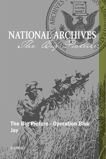 Operation Blue Jay poster