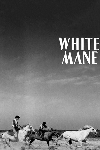 White Mane (1953) movie poster