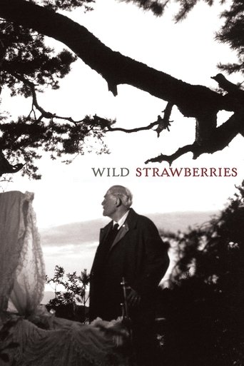 Wild Strawberries (1957) movie poster