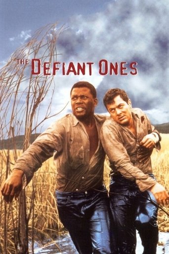 The Defiant Ones (1958) movie poster