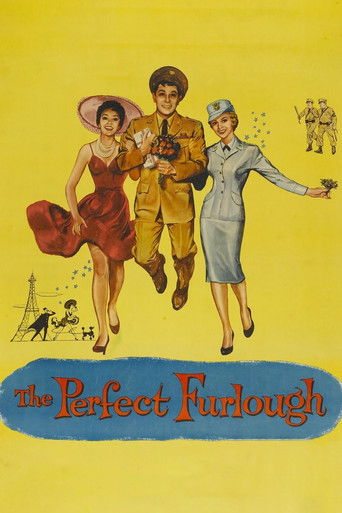 The Perfect Furlough (1958) movie poster