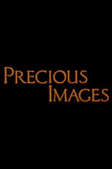 Precious Images poster