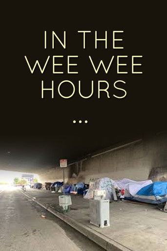 In the Wee Wee Hours... poster