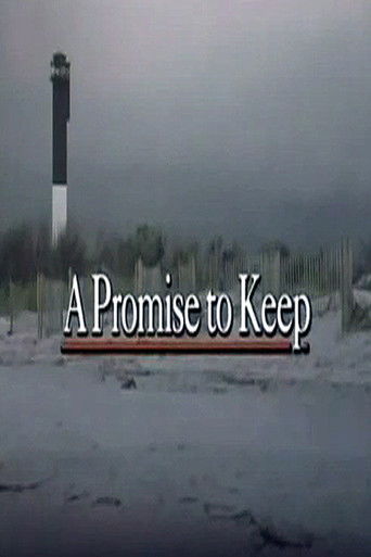 Promises to Keep poster