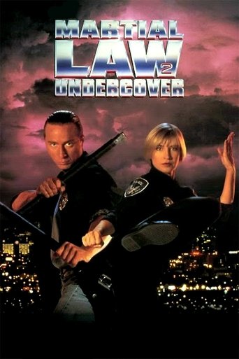 Martial Law II: Undercover (1991) movie poster