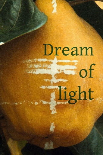 Dream of Light (1992) movie poster