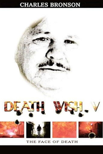 Death Wish V: The Face of Death (1994) movie poster