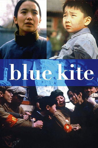 The Blue Kite (1994) movie poster