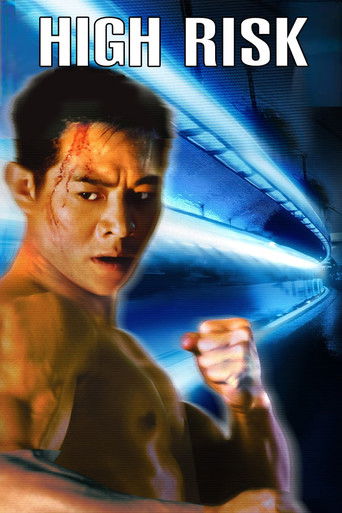 High Risk (1995) movie poster