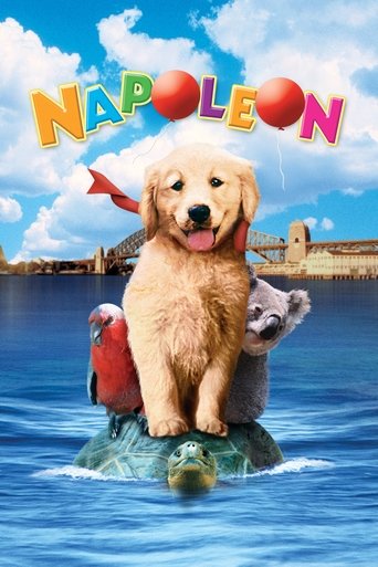 Napoleon (1995) movie poster