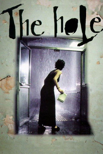 The Hole (1999) movie poster