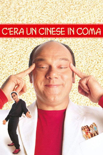C'era un cinese in coma (2000) movie poster
