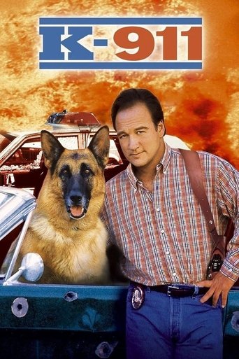 K-911 (2000) movie poster