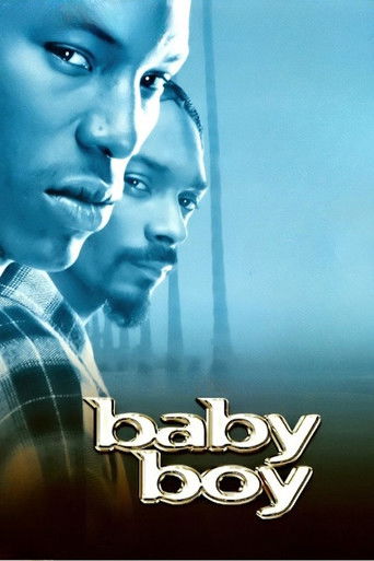Baby Boy (2001) movie poster