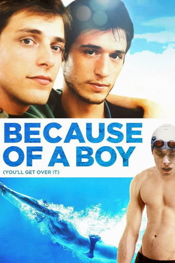 Because of a Boy (2002) movie poster