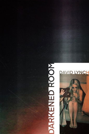 Darkened Room (2002) movie poster