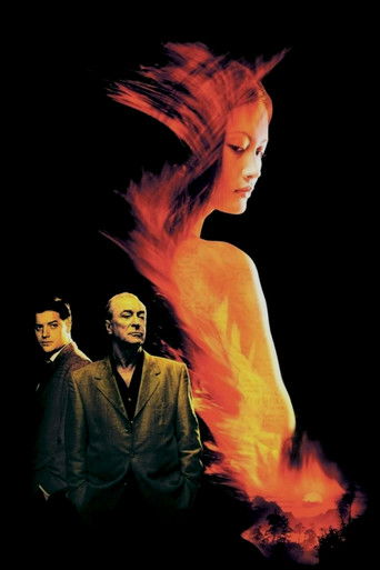 The Quiet American (2002) movie poster