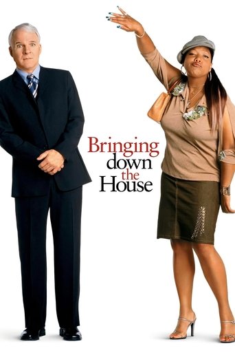 Bringing Down the House (2003) movie poster
