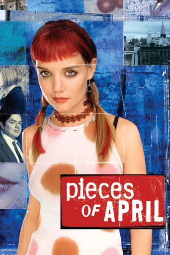 Pieces of April (2003) movie poster