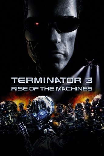 Terminator 3: Rise of the Machines (2003) movie poster
