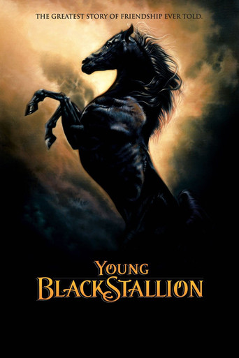 Young Black Stallion (2003) movie poster