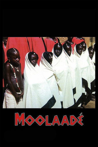 Moolaadé (2004) movie poster