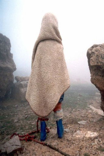 Turtles Can Fly (2004) movie poster