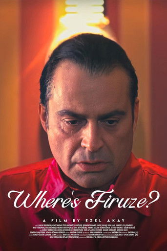 Where's Firuze? (2004) movie poster