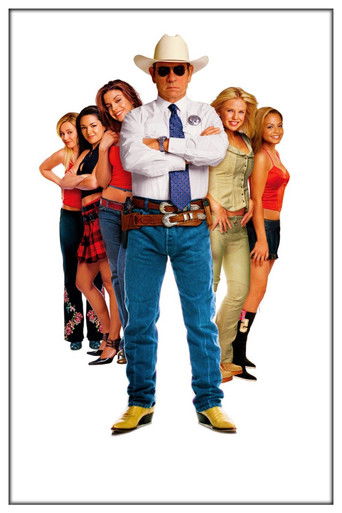 Man of the House (2005) movie poster