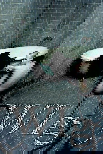 The Wig (2005) movie poster