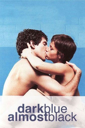 Dark Blue Almost Black (2006) movie poster