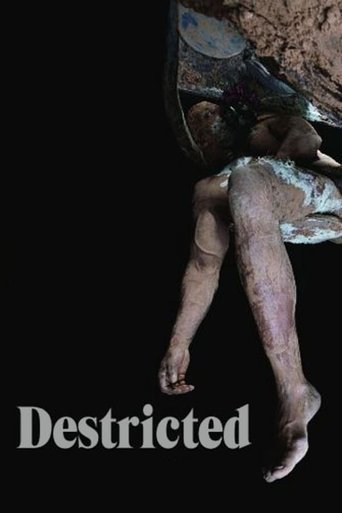 Destricted (2006) movie poster