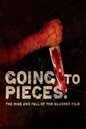 Going to Pieces: The Rise and Fall of the Slasher Film (2006) movie poster