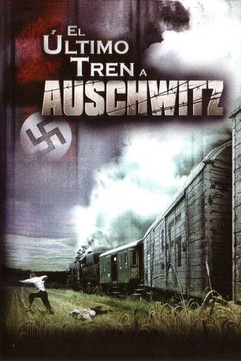 The Last Train (2006) movie poster