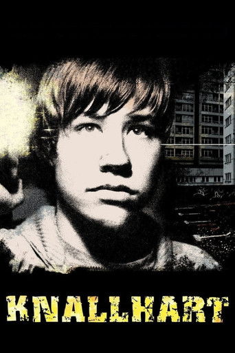 Tough Enough (2006) movie poster